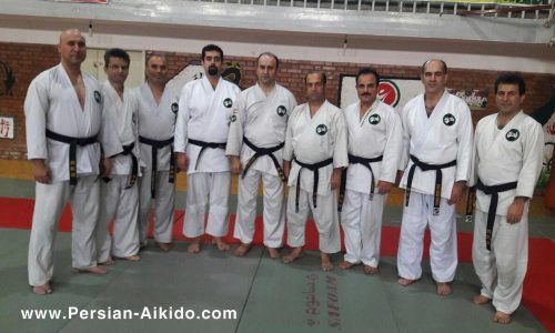 تیم آی کی دو گیلان