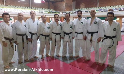 تیم آی کی دو گیلان