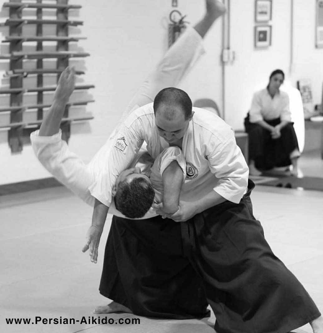 پرشین آی کی دو Sensei Uelington Souza