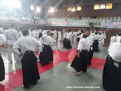 ایران آیکیدو