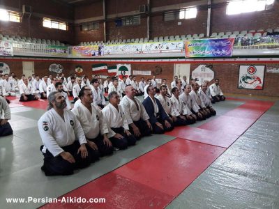 آیکیدو ایران ، پرشین آیکیدو