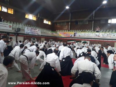 ایران آیکیدو ، پرشین آیکیدو