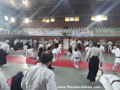 پرشین آیکیدو