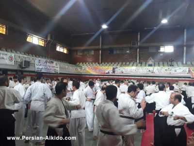 آیکیدو ایران ، پرشین آیکیدو