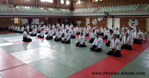 دفاع شخصی آیکیدو ایران