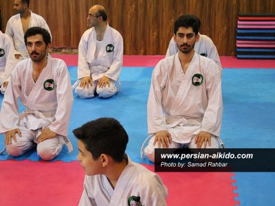 آی کی دو گیلان