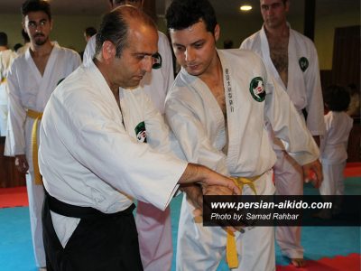 استاد رستمی