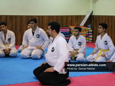 استاد پوررضا آیکیدو گیلان