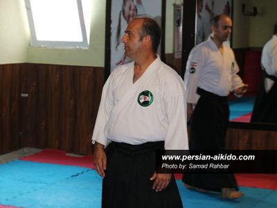 استاد حمید رستمی