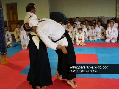 آی کی دو (دفاع شخصی)