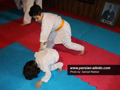 آی کی دو (دفاع شخصی)