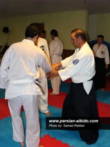 ایران آیکیدو