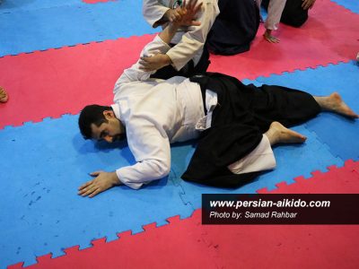 آی کی دو گیلان (دفاع شخصی)