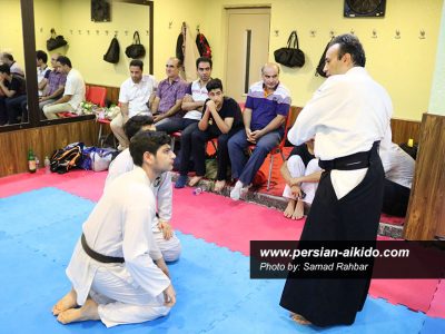 استاد امیری