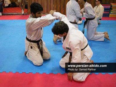 آیکیدو رشت (دفاع شخصی)