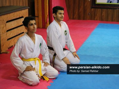 دفاع شخصی گیلان