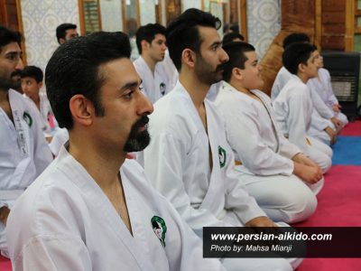 آموزش آیکیدو ایران