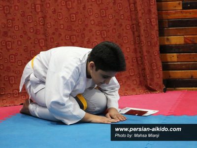 آموزش آیکیدو