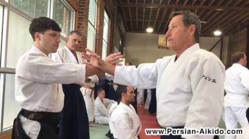 کریستین تیسیر آیکیدو