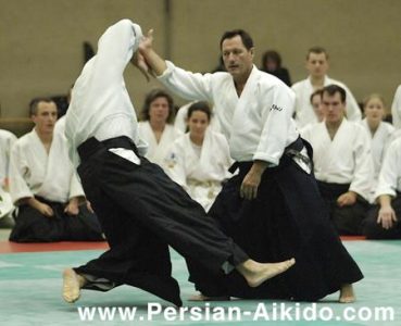 کریستین تیسیر آیکیدو