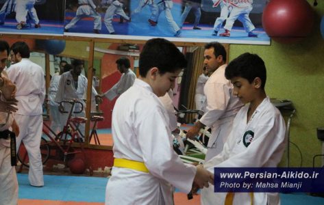 آی کی دو گیلان