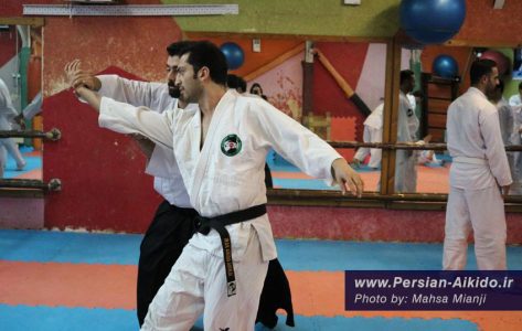 باشگاه دفاع شخصی گیلان