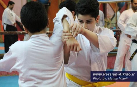 اموزش دفاع شخصی