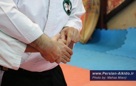 قفل مفصل دفاع شخصی