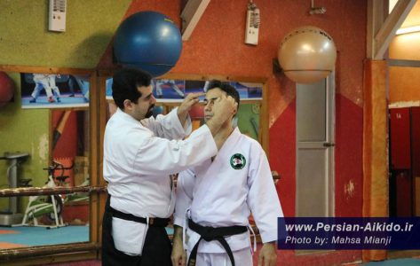 نقاط حساس دفاع شخصی