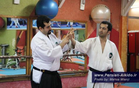 اموزش دفاع شخصی حرفه ای