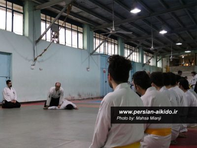 آیکیدو استان گیلان