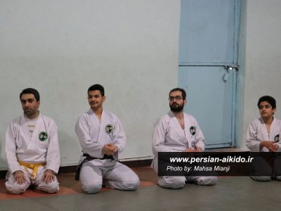 آیکیدو استان گیلان