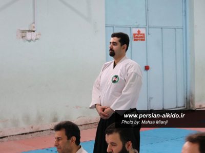 آیکیدو استاد پوررضا