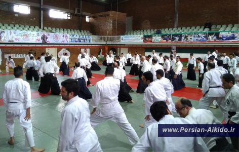 آیکیدو ایران