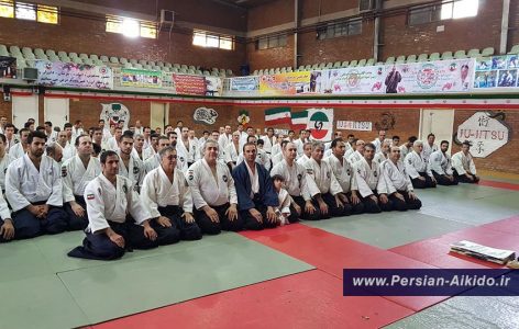 ایران آیکیدو